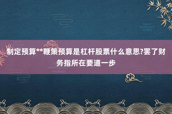 制定预算**鞭策预算是杠杆股票什么意思?罢了财务指所在要道一步